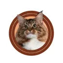handmade leather pet portrait keychain